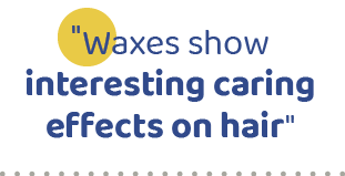 \“Waxes show interesting caring effects on hair