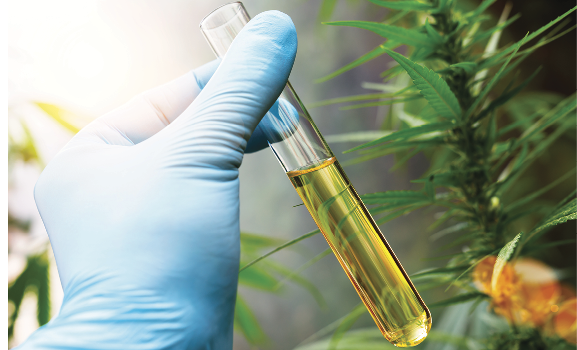 scientist hand holding a test tube of cbd biological and ecological herbal pharmaceutical cbd oil at a Hemp farm. Concept of herbal alternative medicine, cbd oil, pharmaceutical industry