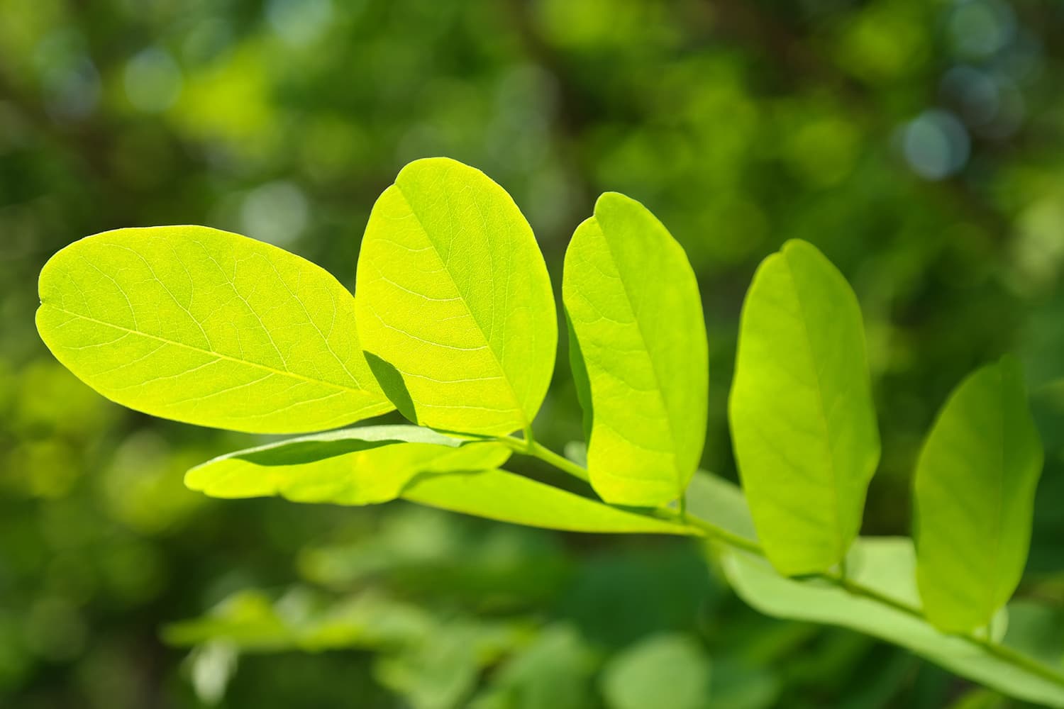 Unilever and Evonik collaboration ensures a green and clean future