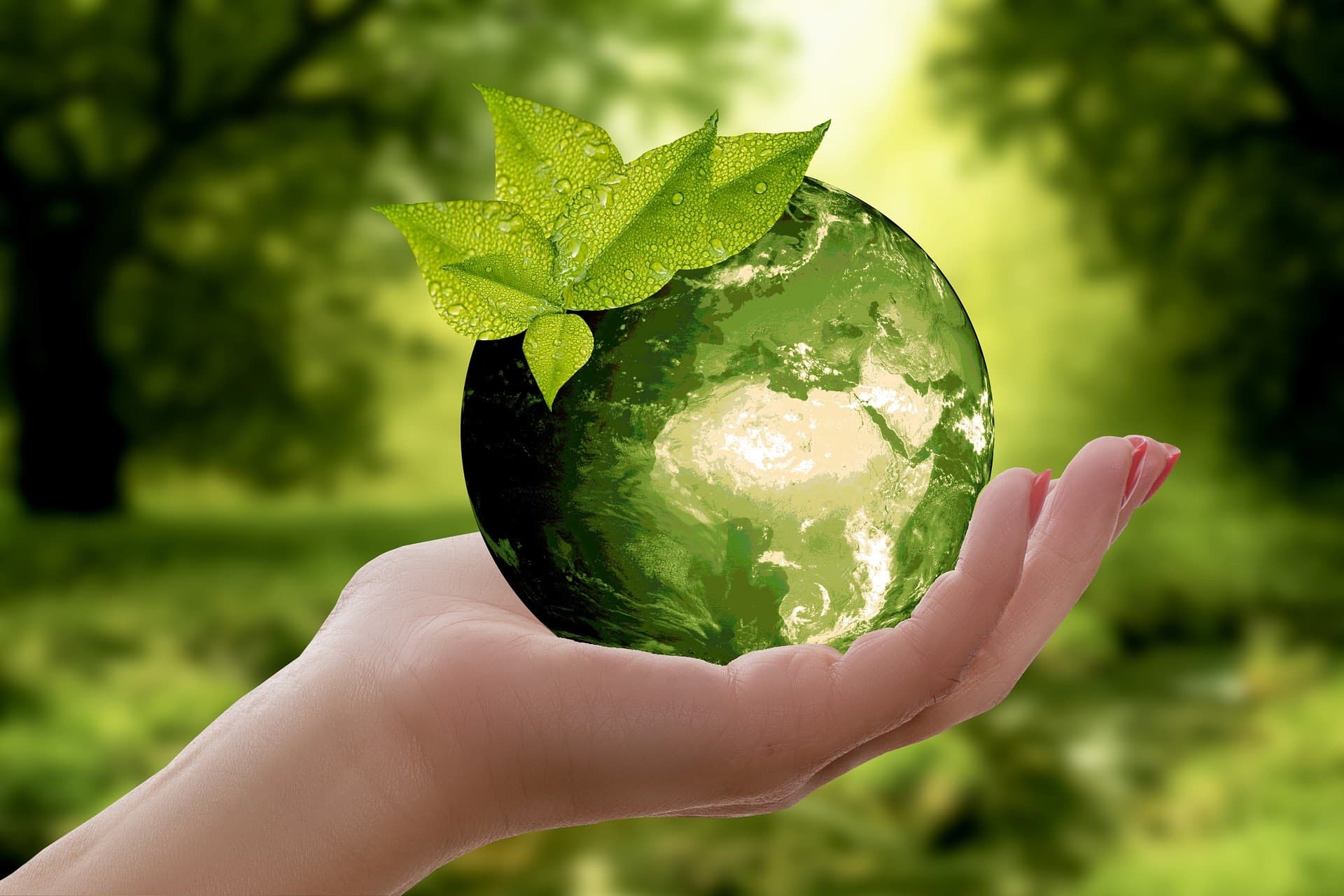 Aprinnova presents an introduction to the circular economy