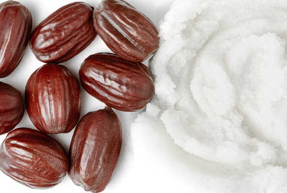 Design vegan formulations with Liponate Jojoba 20