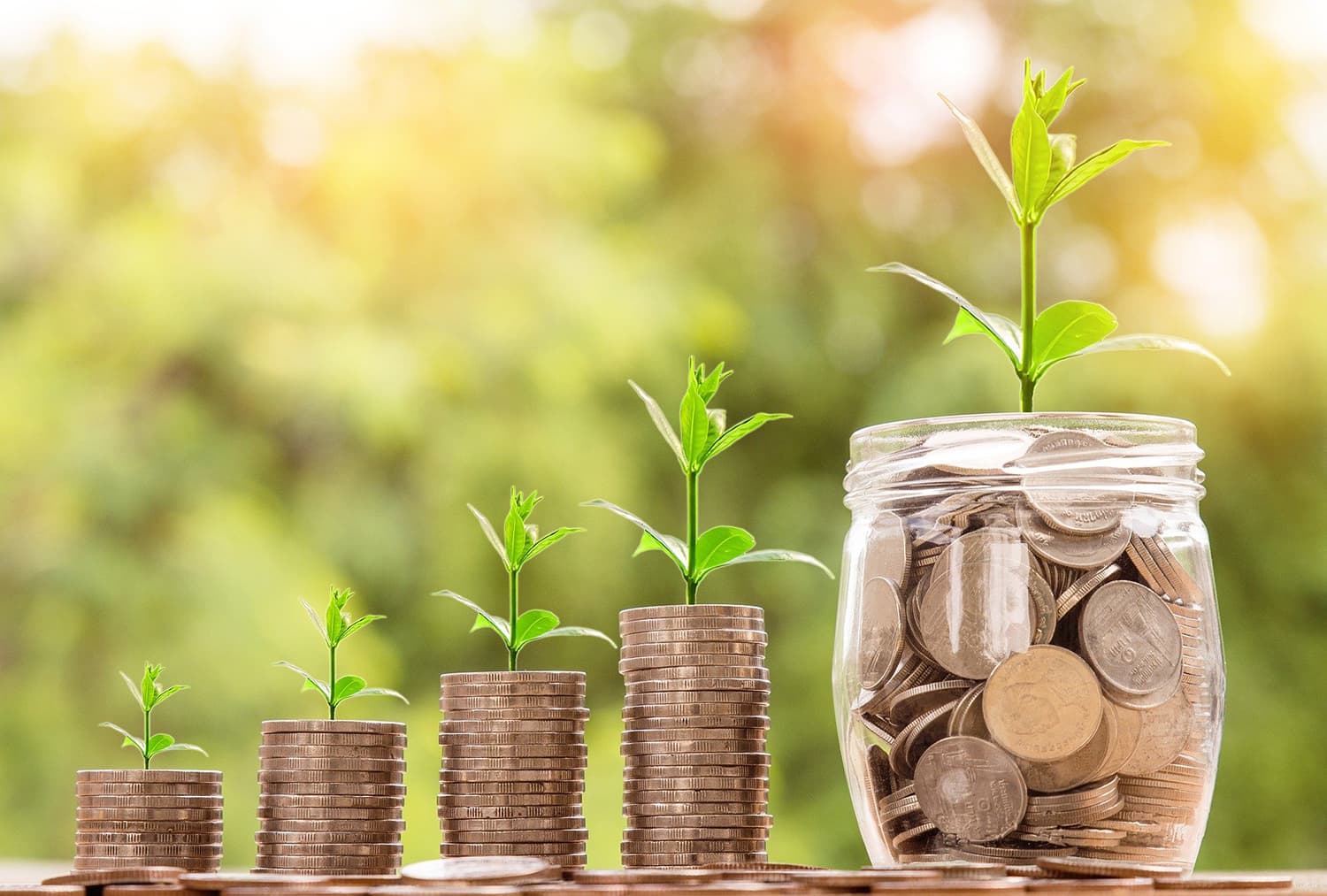 Adcock Ingram reports resilient trading performance despite COVID-19 challenges
