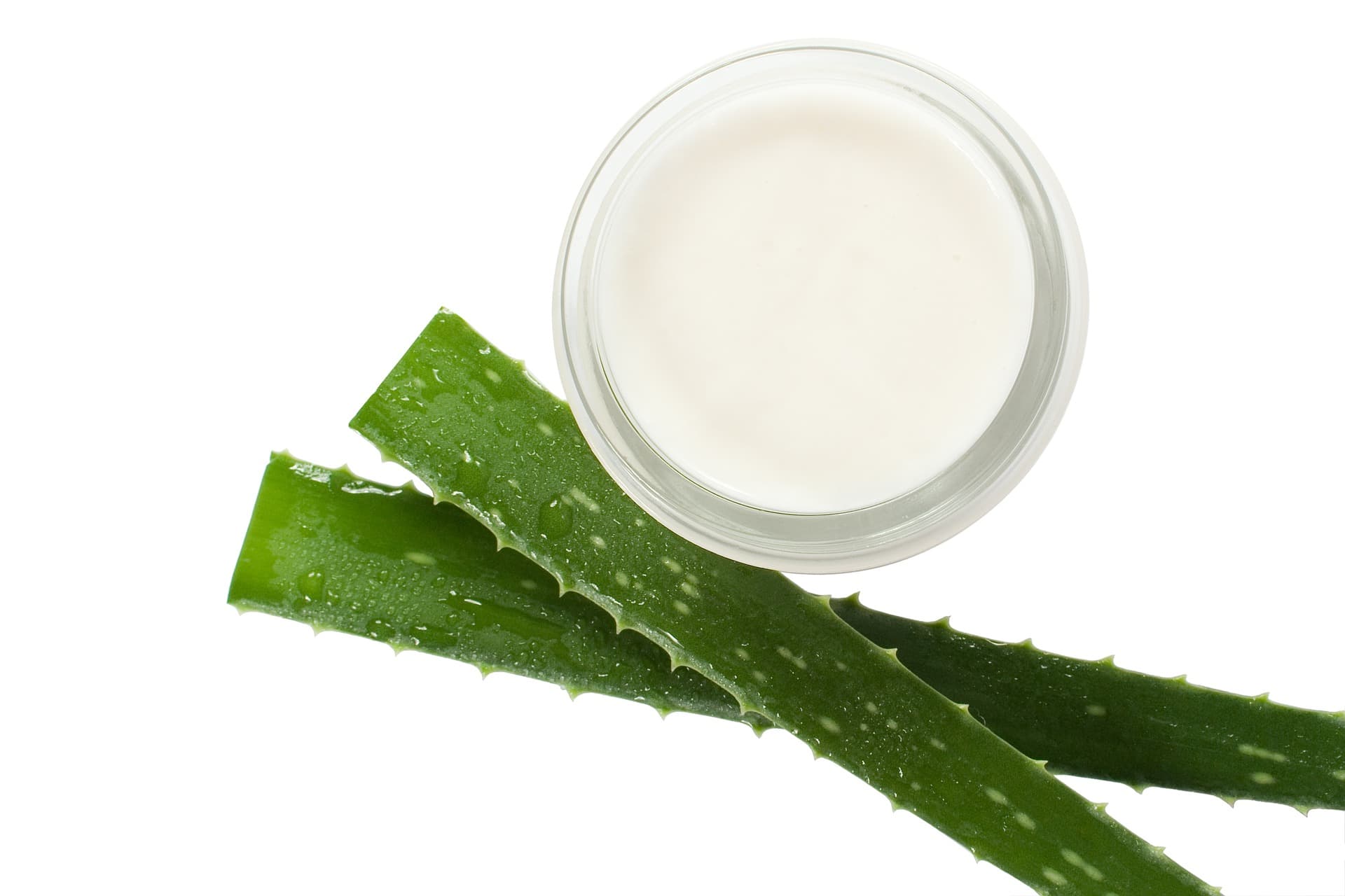 From aloe vera to skin cream
