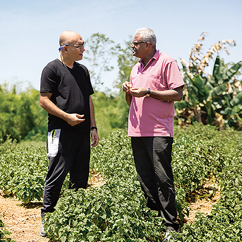 Symrise and Van Aroma launch learning platform for Indonesian patchouli farmers
