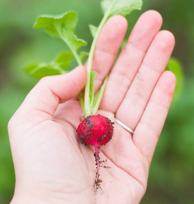 Bio-fermented natural extracts – a secret to skin protection