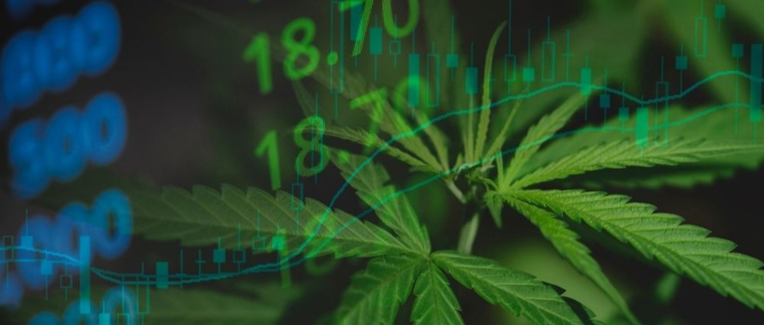 African cannabis investment delegation heads to Canada and USA