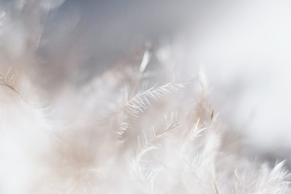 Improvements to BisaboLife make it a gamechanger in the beauty industry