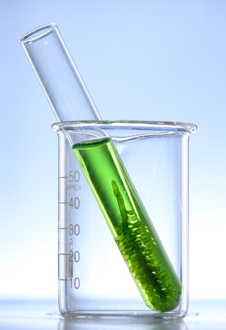 Givaudan acquires ingredients portfolio from Amyris