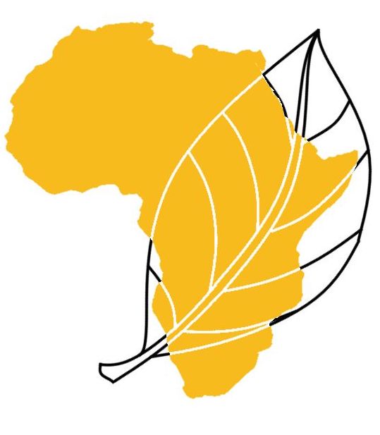 Uniting African researchers to advance phytomedicine