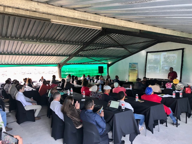Eastern Cape Cannabis and Hemp Training Academy to unlock economic opportunities
