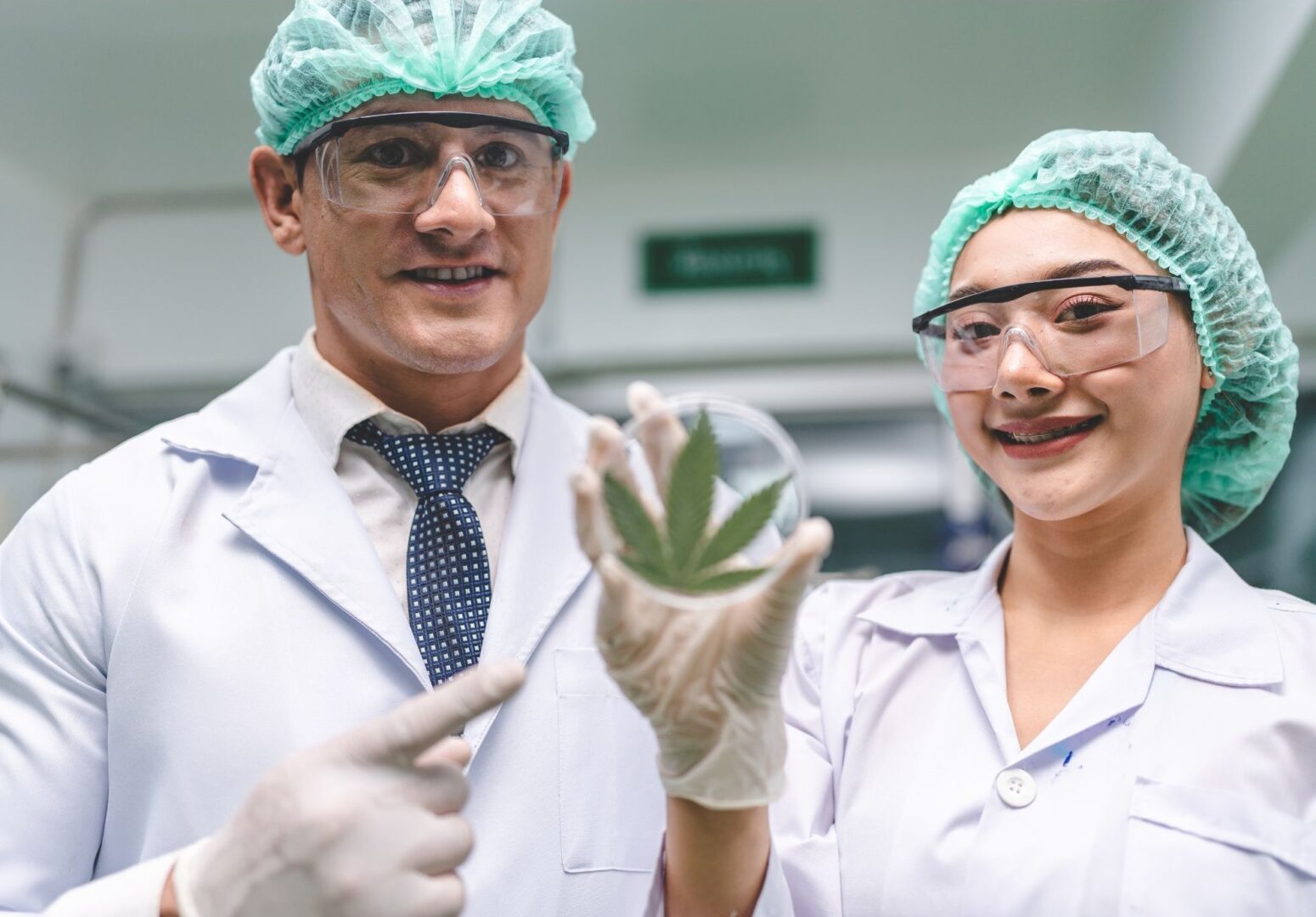 Oximio to support medical cannabis surge in South Africa