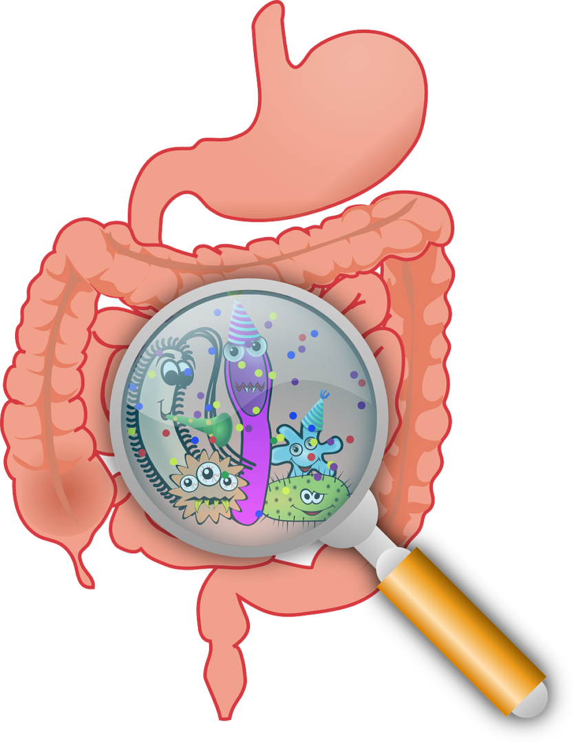 GlobalData poll reveals microbiome’s essential role in health