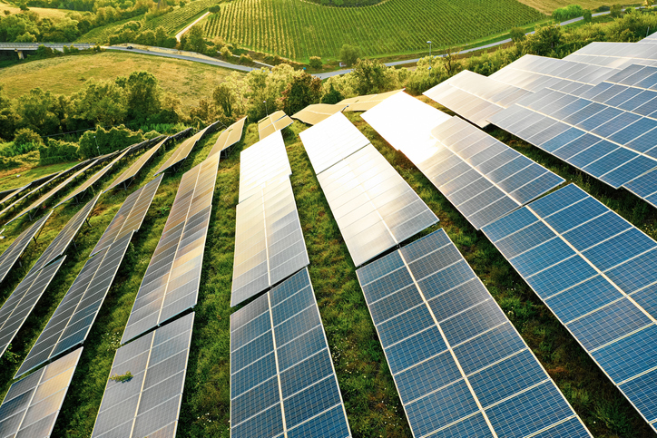 Sustainability goals: dsm-firmenich’s journey to net zero