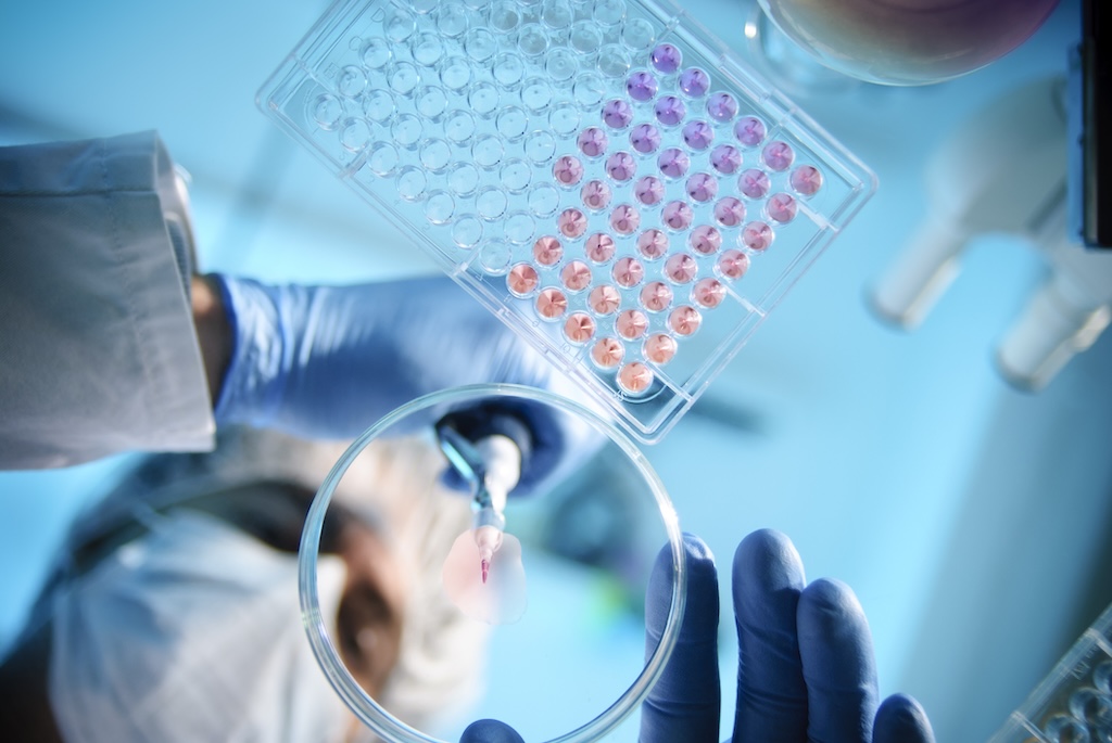 Chemspec Europe 2026: A premier event for the chemical industry