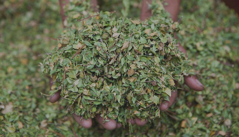 Botanicals: Building value through community partnerships